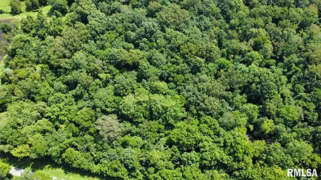 $65,000 | 0 Cedar Hill Road, West Frankfort, IL 62896