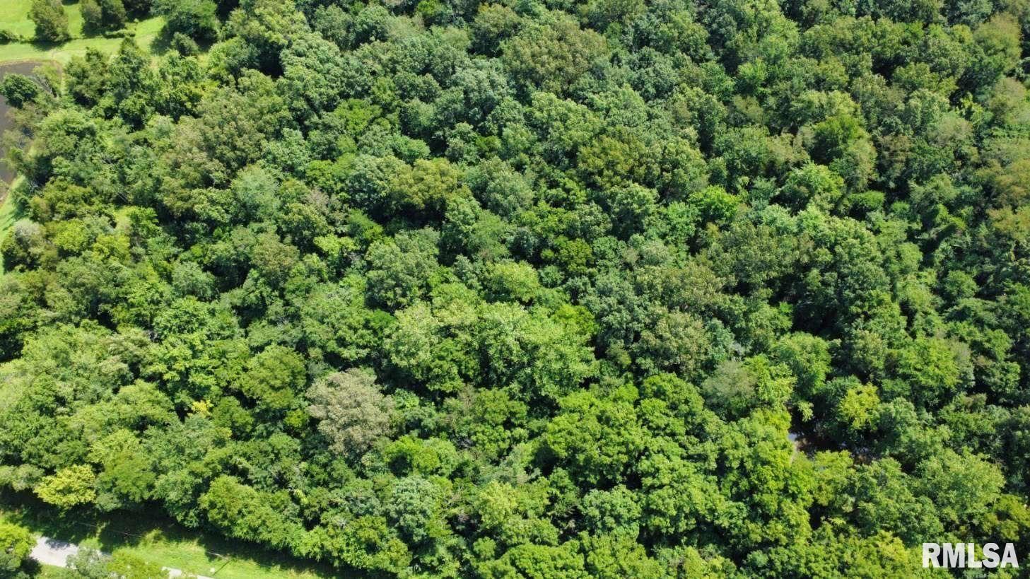 0 Cedar Hill Road West Frankfort, IL 62896 - Photo 2 of 3