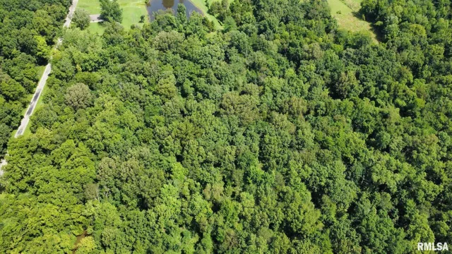 $65,000 | 0 Cedar Hill Road, West Frankfort, IL 62896