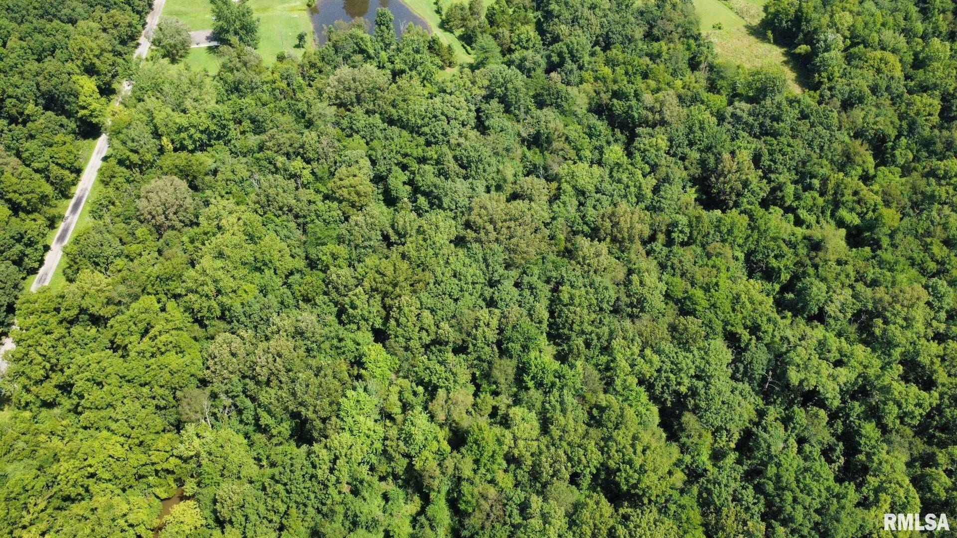 0 Cedar Hill Road West Frankfort, IL 62896 - Photo 3 of 3