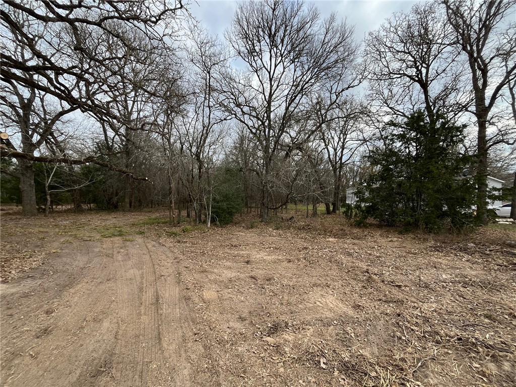 571 Railroad Road Somerville, TX 77879 - Photo 3 of 17