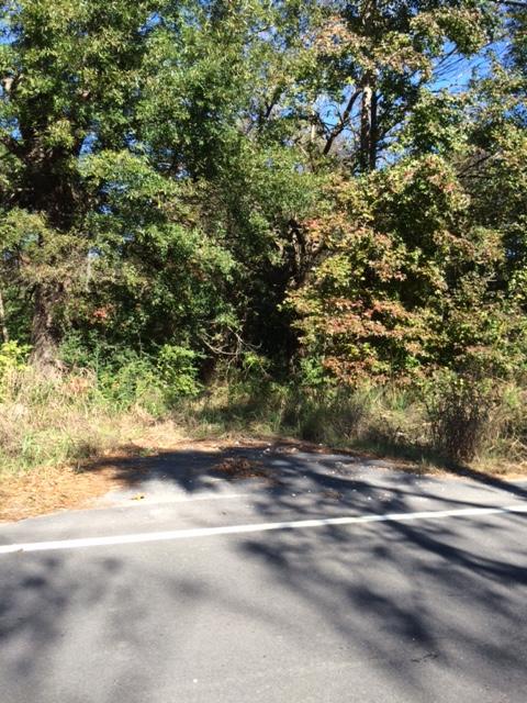 6567 Ethel Post Office Road Meggett, SC 29449 - Photo 8 of 21 IMG_0941