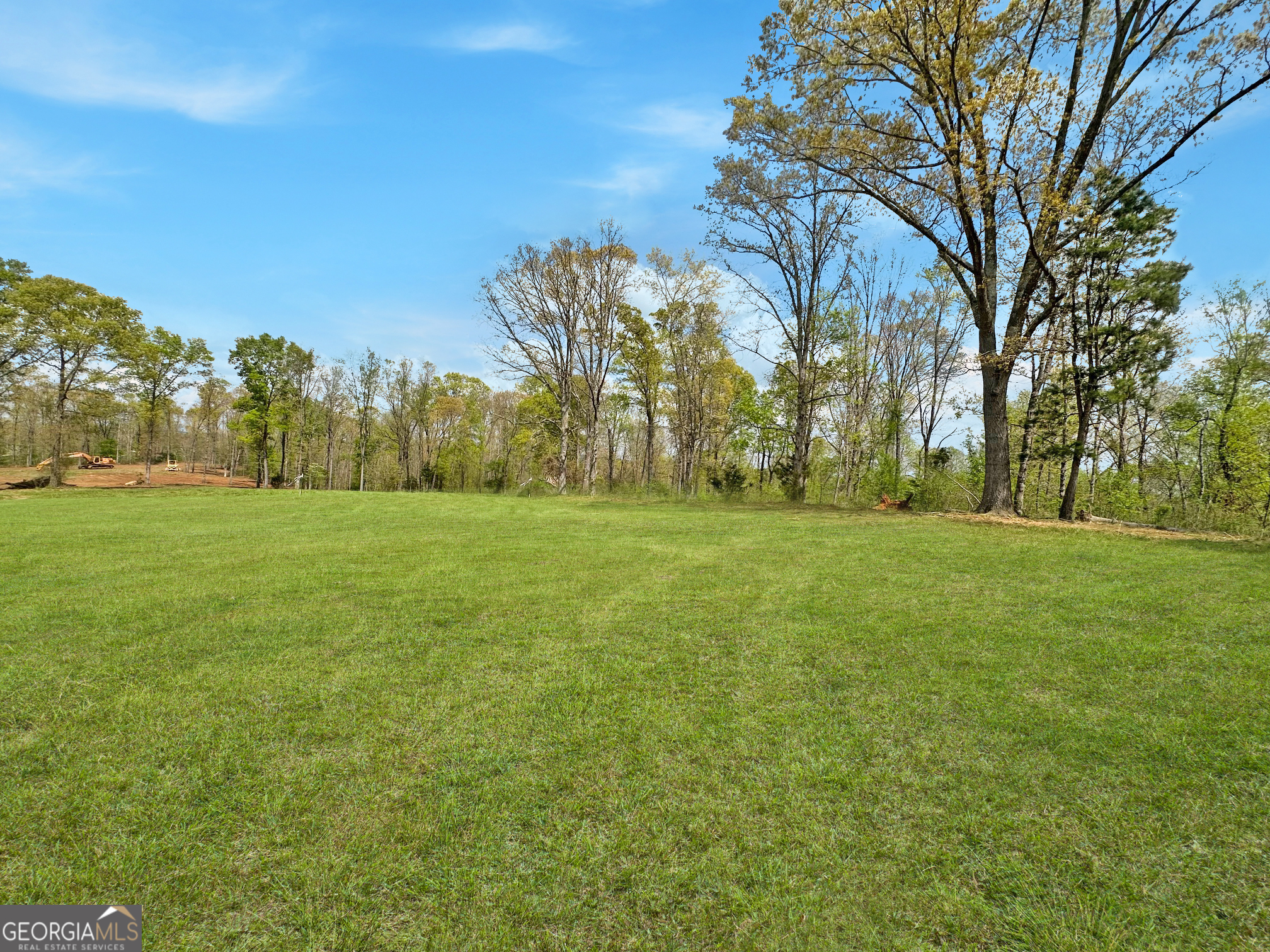 102 Broad River Road, Unit LOT 6 Eastanollee, GA 30538 - Photo 6 of 9 a view of grassy field with trees
