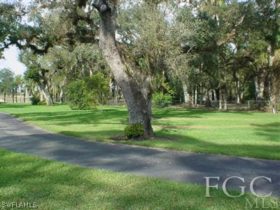 900 Porterfield Road LaBelle, FL 33935 - Photo 8 of 10 Gallery Image 8