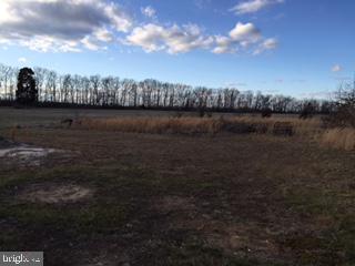 404 Big Oak Road Bridgeton, NJ 08302 - Photo 24 of 25