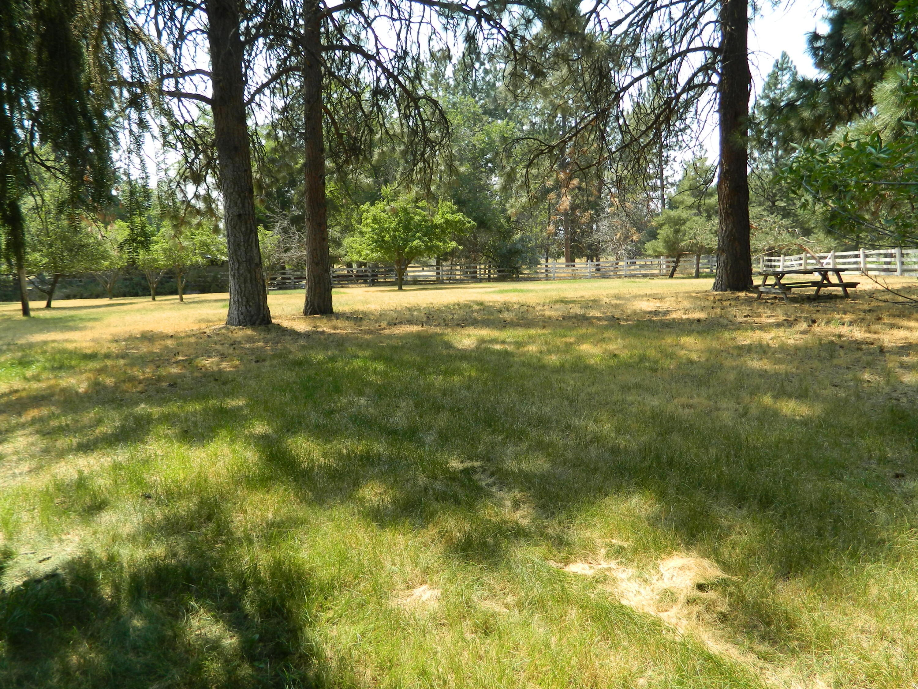 611 Pine Grove Road Klamath Falls, OR 97603 - Photo 22 of 25 DSCN1754 - Copy