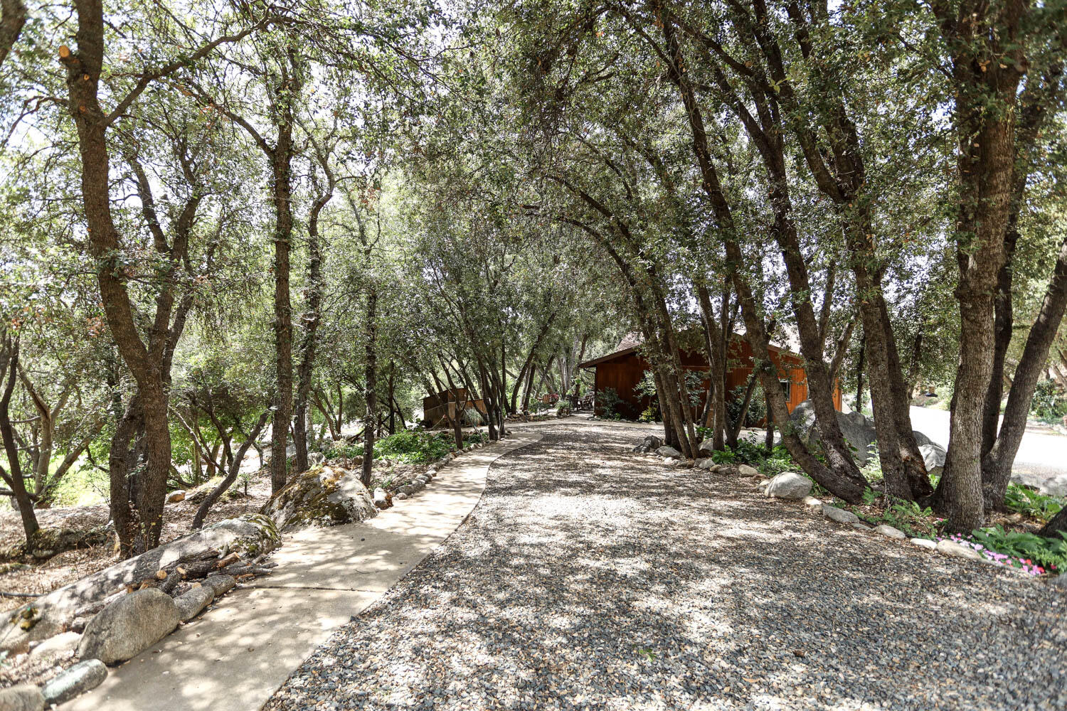 45314 Blue Ridge Drive Springville, CA 93265 - Photo 20 of 111 IMG_4812
