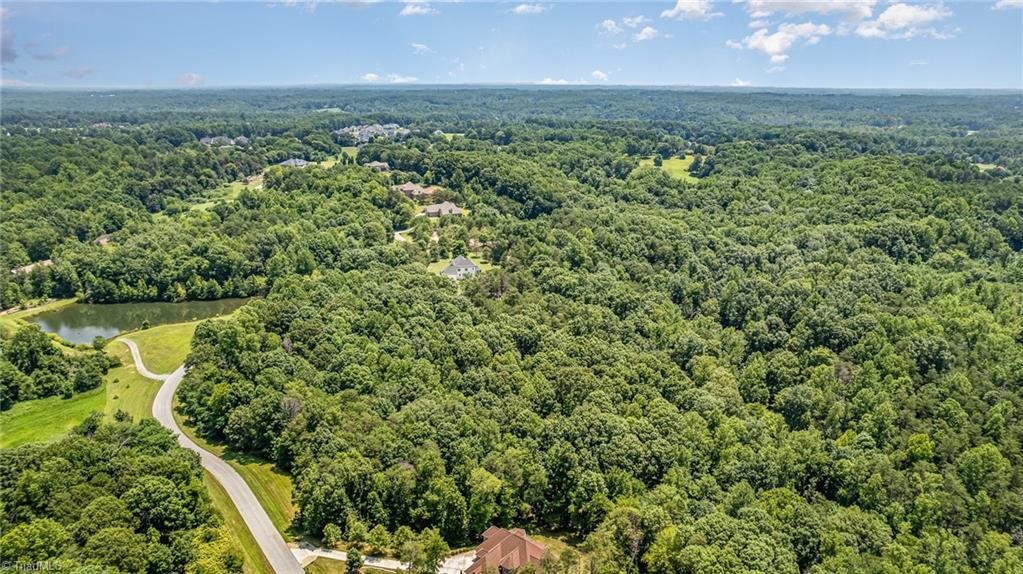 7335 Hidden View Drive Oak Ridge, NC 27310 - Photo 3 of 14