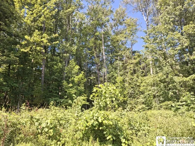 $260,000 | 6517 Us Route, Cherry Creek, NY 14723