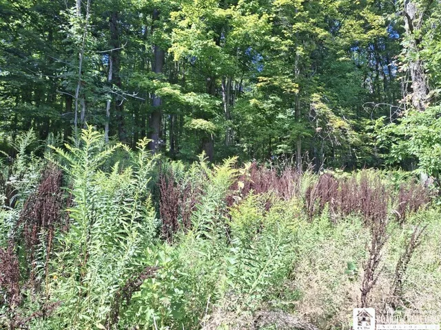 $260,000 | 6517 Us Route, Cherry Creek, NY 14723