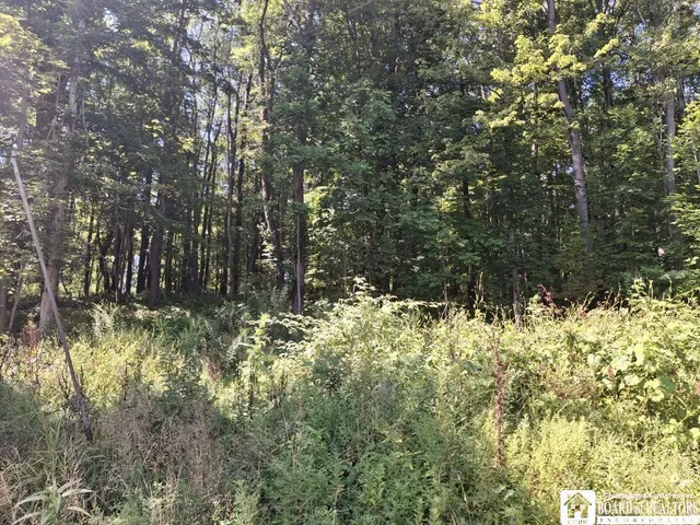 $260,000 | 6517 Us Route, Cherry Creek, NY 14723