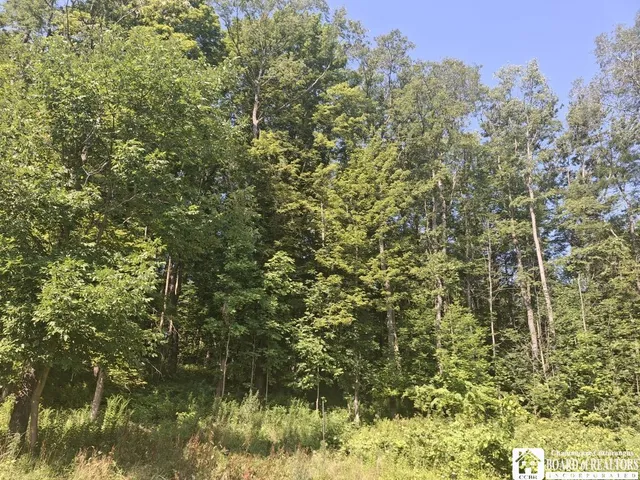 $260,000 | 6517 Us Route, Cherry Creek, NY 14723