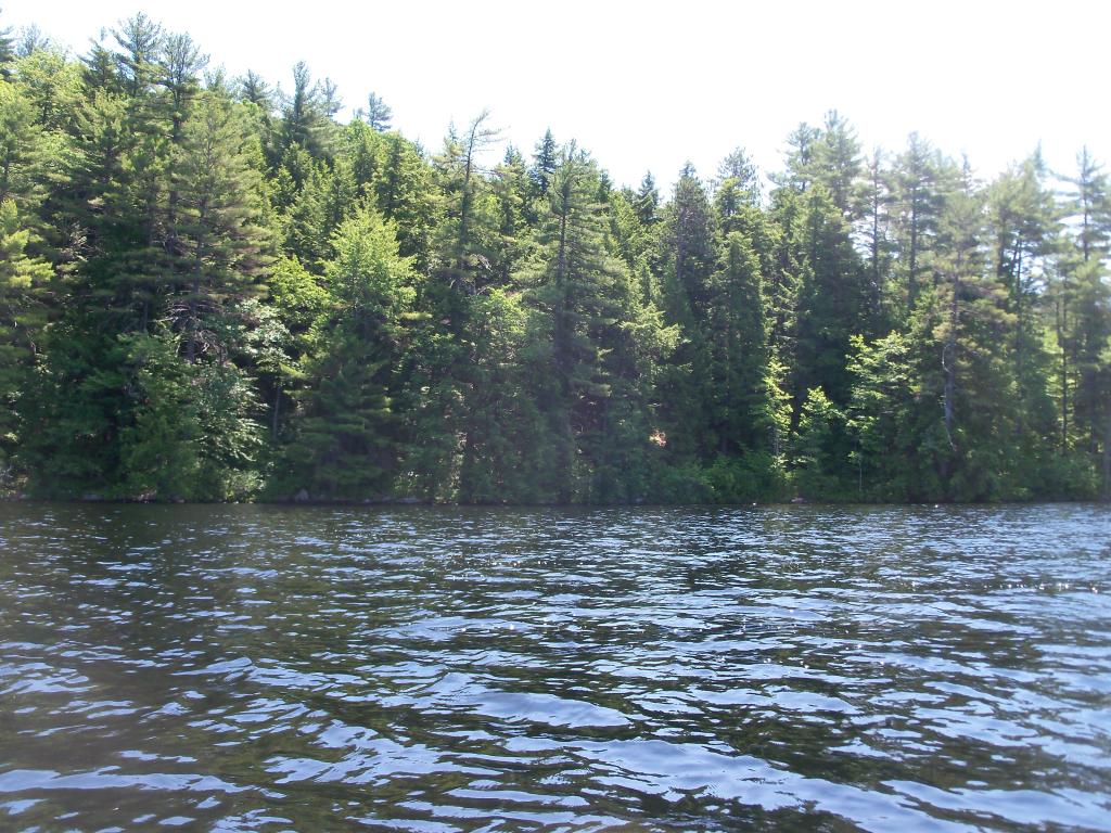 Tbd Potter Road Center Conway, NH 03813 - Photo 3 of 12