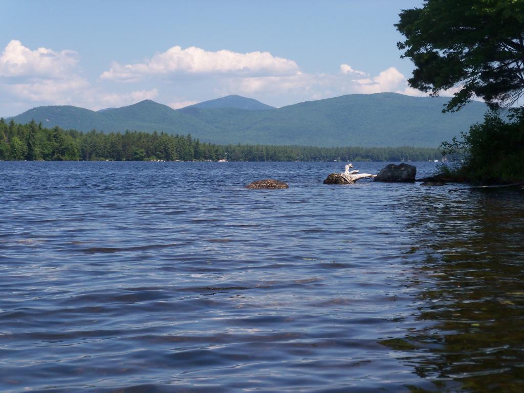 Tbd Potter Road Center Conway, NH 03813 - Photo 5 of 12
