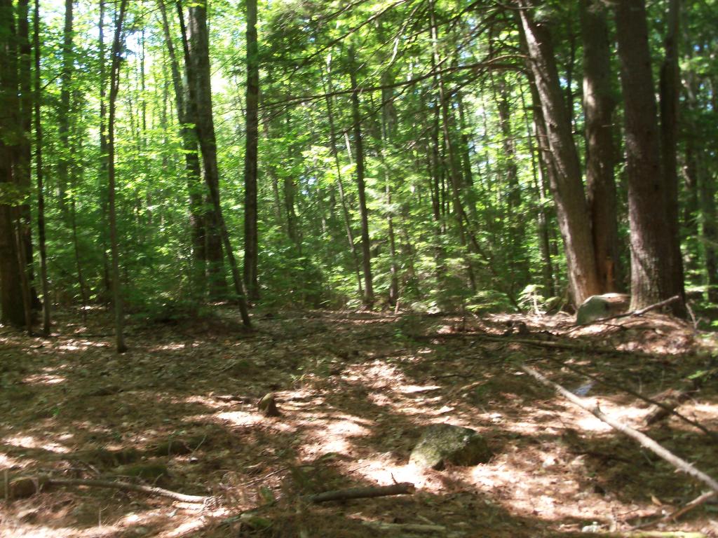 Tbd Potter Road Center Conway, NH 03813 - Photo 8 of 12