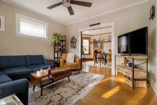 a living room with furniture and a potted plant