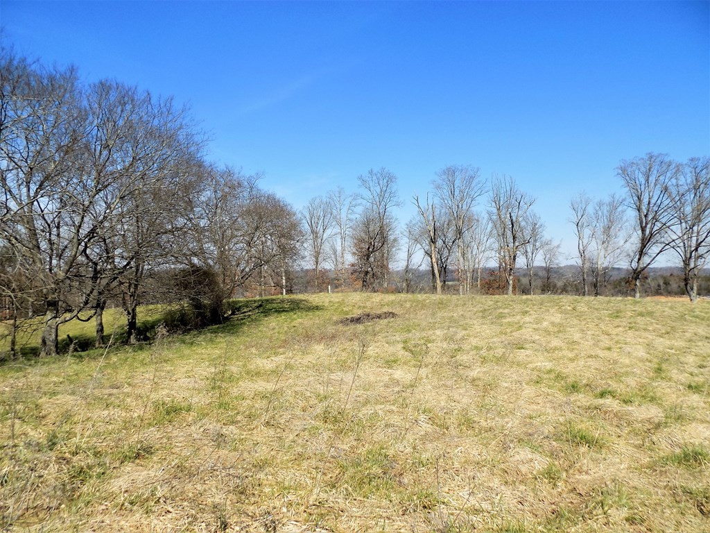 245 New Cave Church Road Newport, TN 37821 - Photo 34 of 40 Gallery Image 34