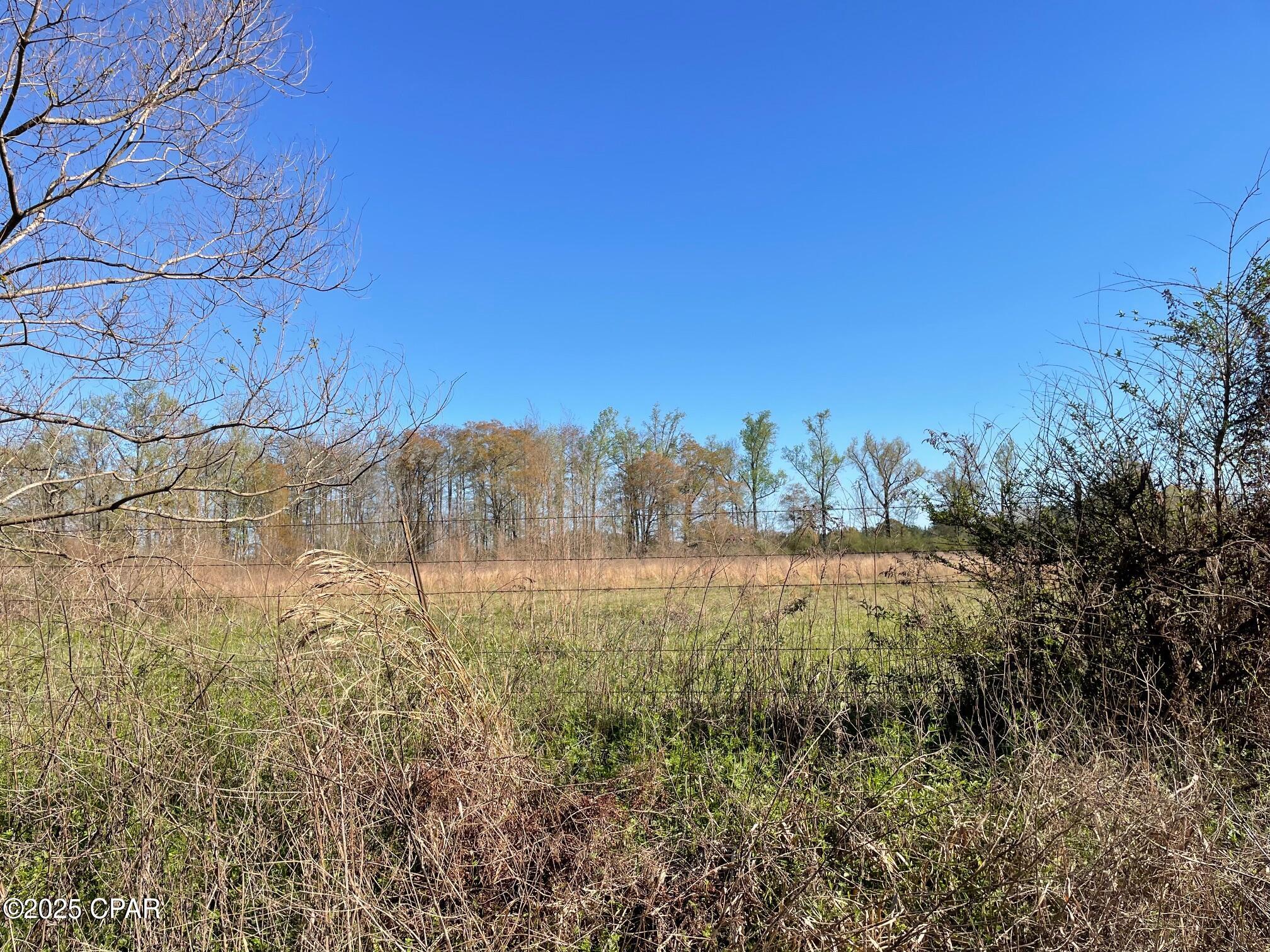 851 Chance Road Chipley, FL 32428 - Photo 11 of 23 Gallery Image 11