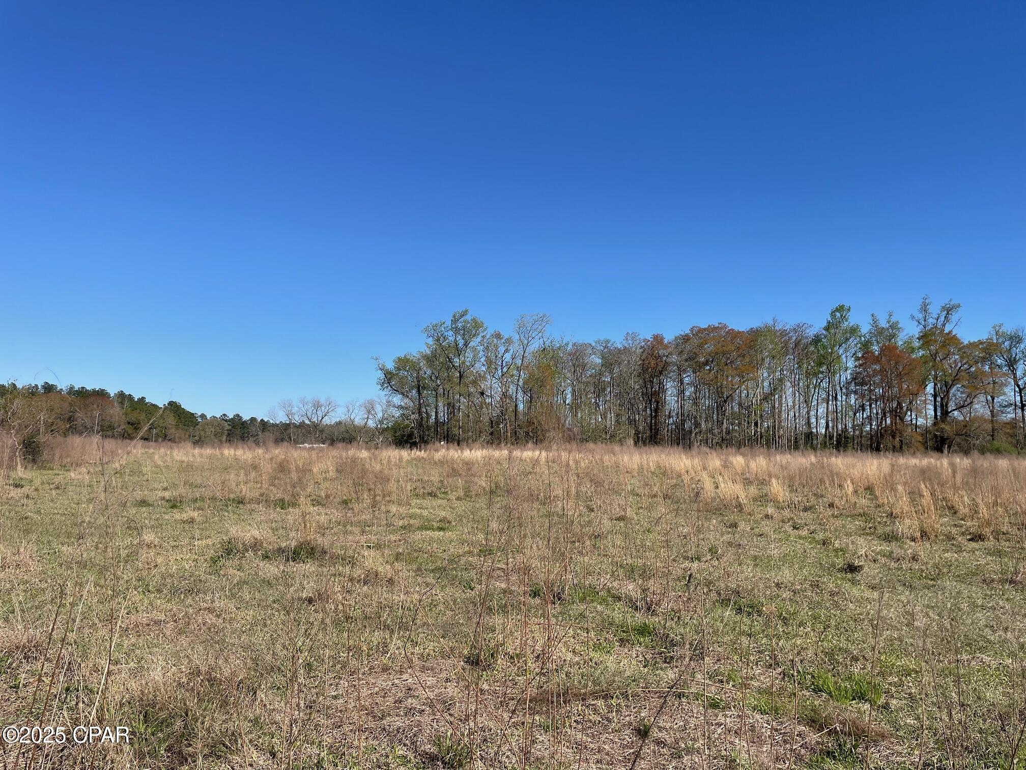 851 Chance Road Chipley, FL 32428 - Photo 3 of 23 Gallery Image 3