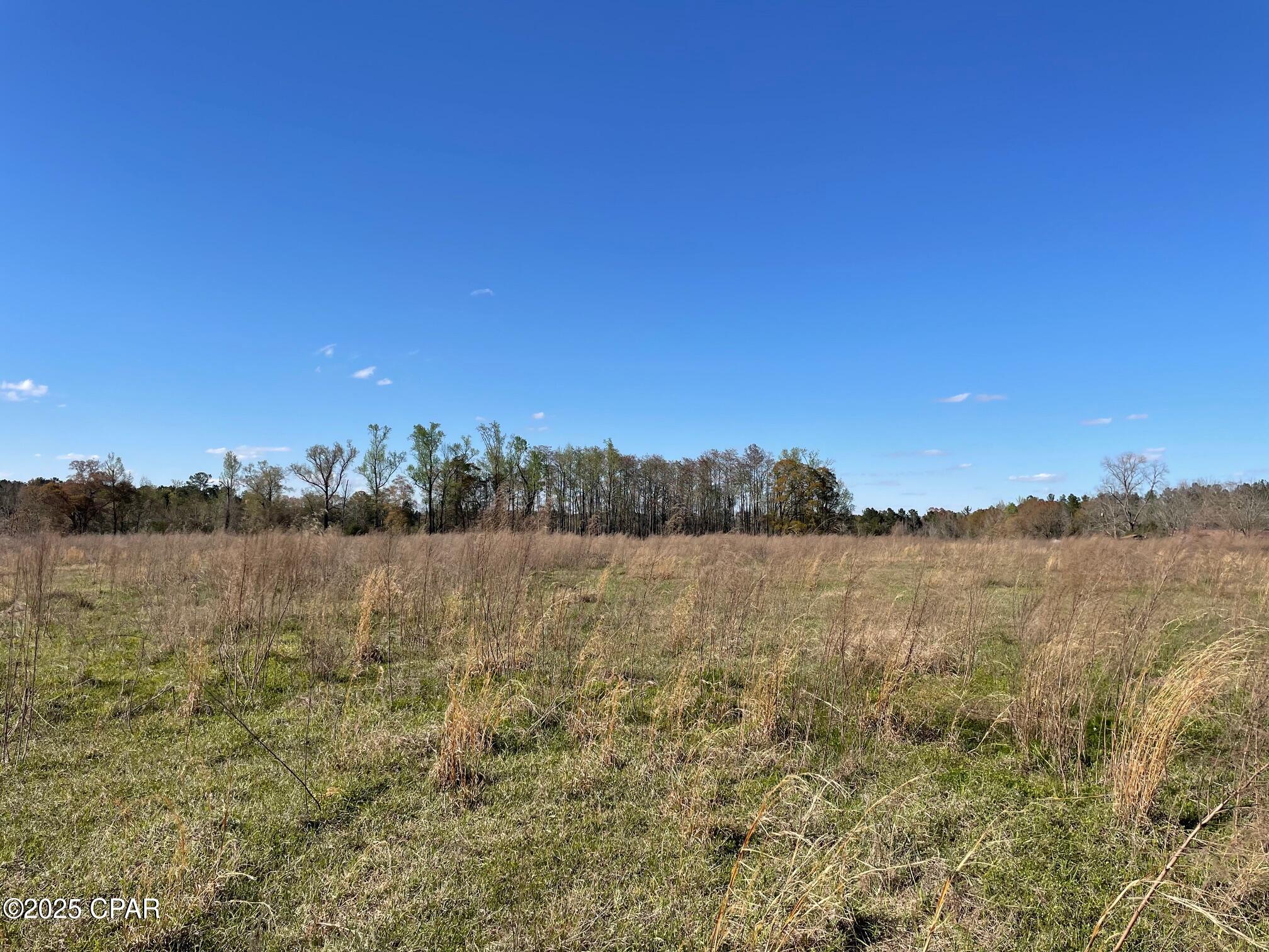 851 Chance Road Chipley, FL 32428 - Photo 5 of 23 Gallery Image 5