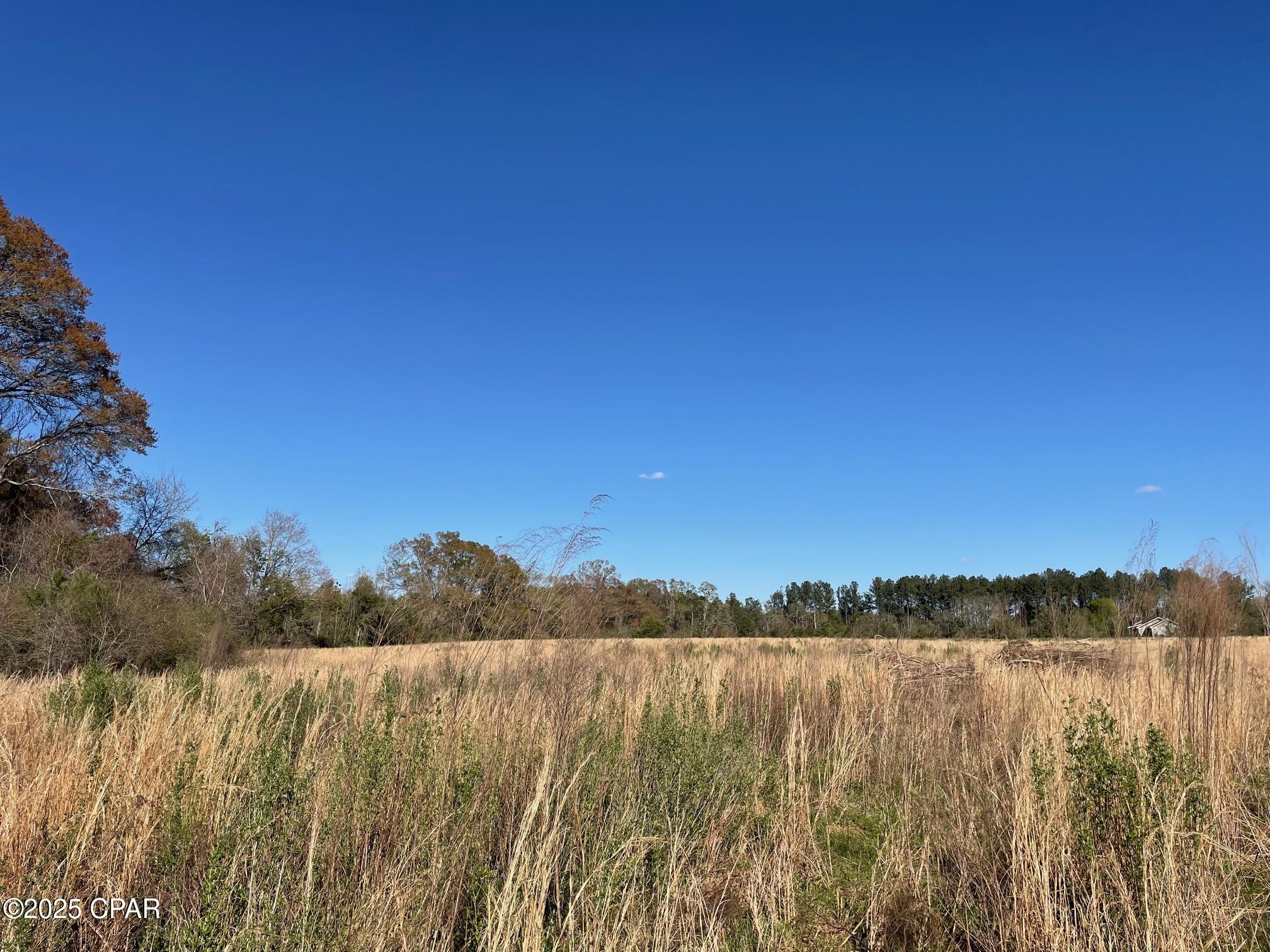 851 Chance Road Chipley, FL 32428 - Photo 6 of 23 Gallery Image 6