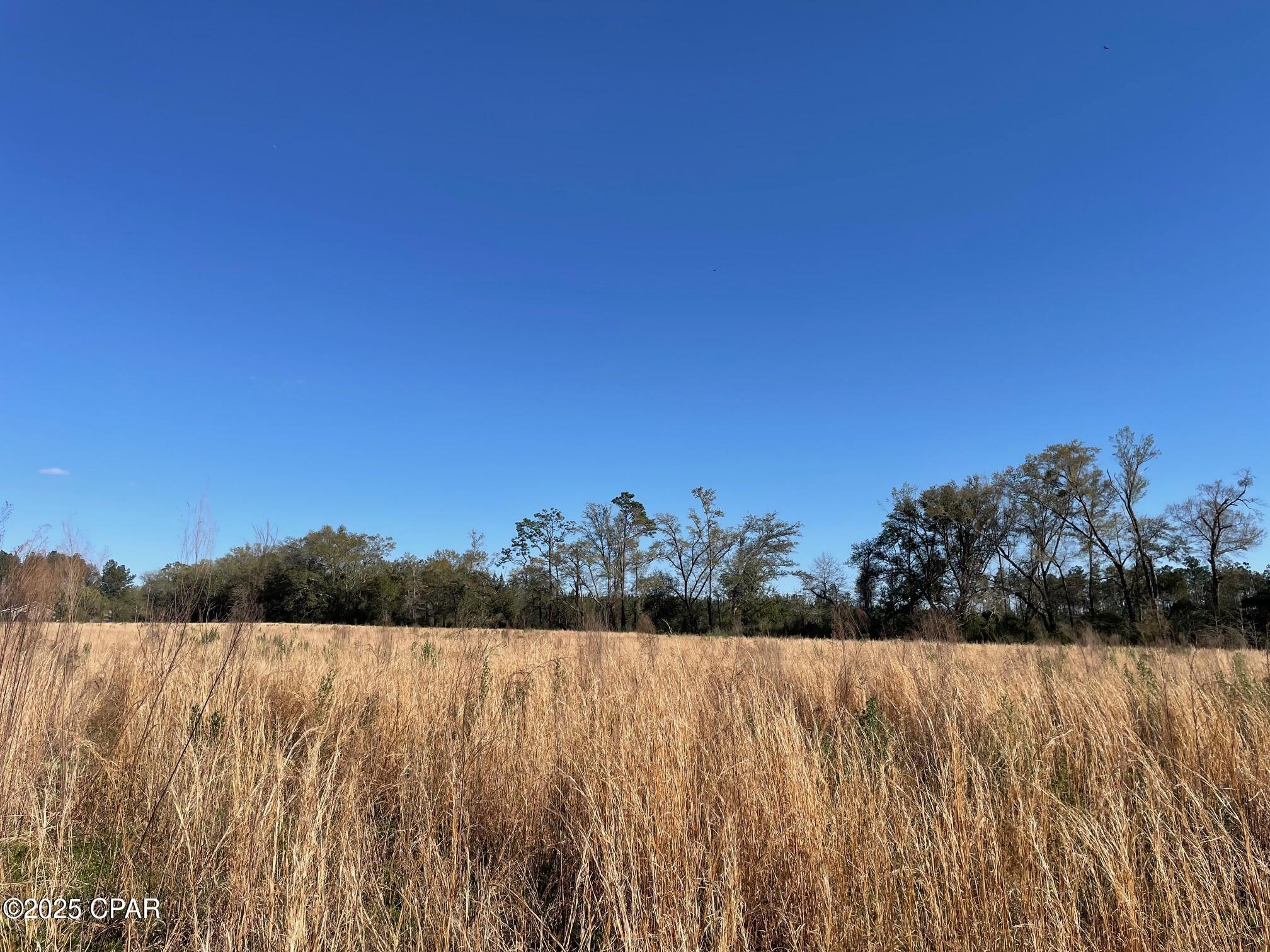 851 Chance Road Chipley, FL 32428 - Photo 7 of 23 Gallery Image 7