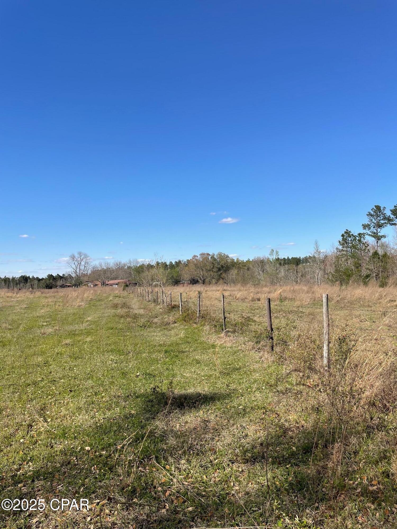 851 Chance Road Chipley, FL 32428 - Photo 8 of 23 Gallery Image 8