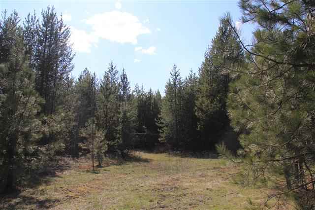 0 North Hardesty Road Chattaroy, WA 99003 - Photo 4 of 18 Gallery Image 4