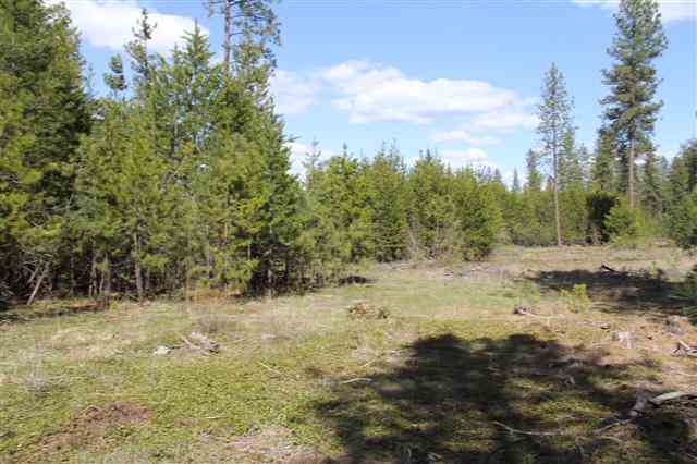 0 North Hardesty Road Chattaroy, WA 99003 - Photo 9 of 18 Gallery Image 9