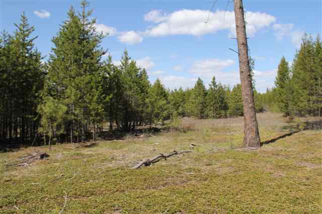 0 North Hardesty Road Chattaroy, WA 99003 - Photo 10 of 18 Gallery Image 10