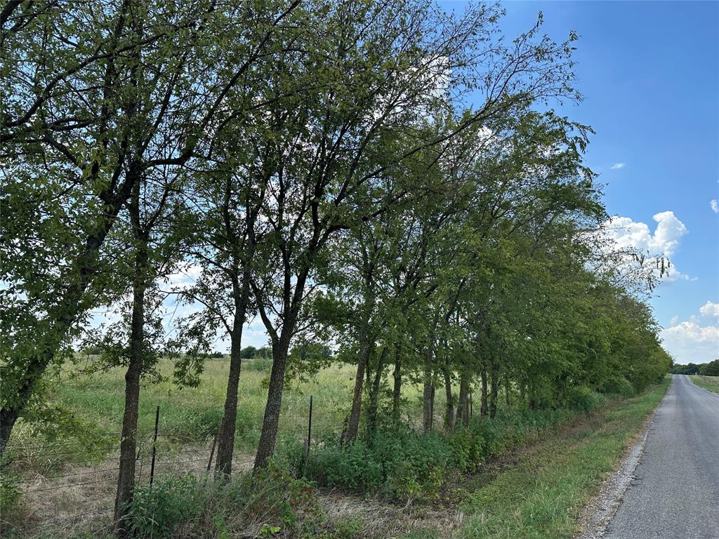 Lot 6 Rutledge Road Whitewright, TX 75491 - Photo 11 of 14 a view of a forest with a tree