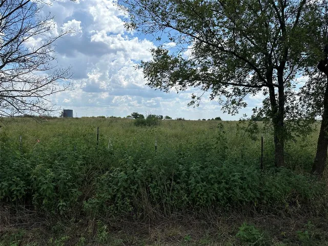 a view of a field with a tree in the background