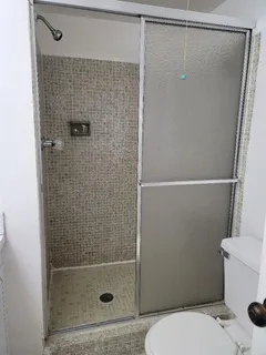 a bathroom with a shower and a toilet