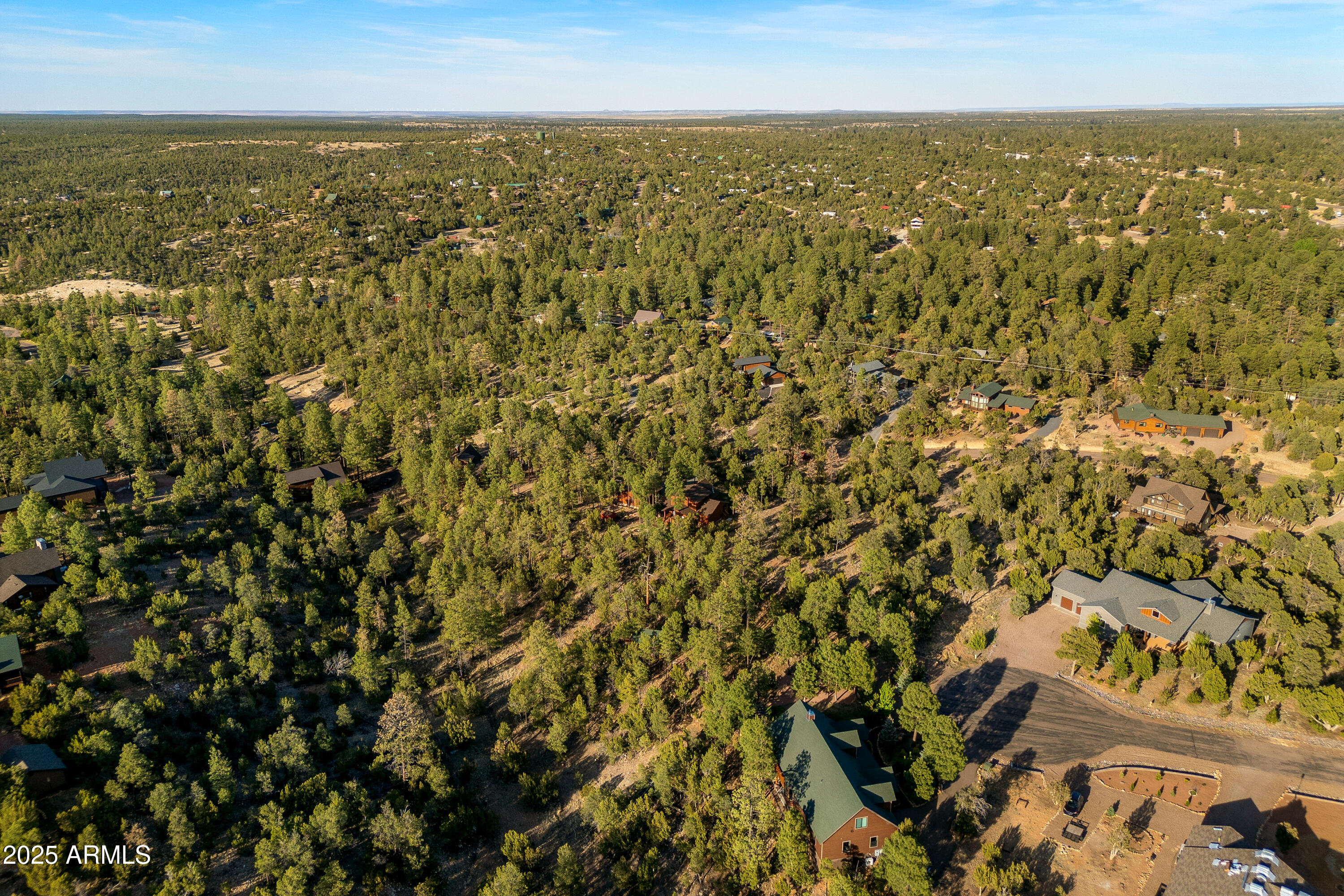3334 Sawmill Ridge Loop Heber, AZ 85928 - Photo 38 of 58 an aerial view of residential houses with outdoor space