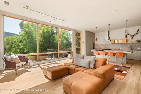 $2,995,000 | 103 Willits Lane, Unit 201, Basalt, CO 81621