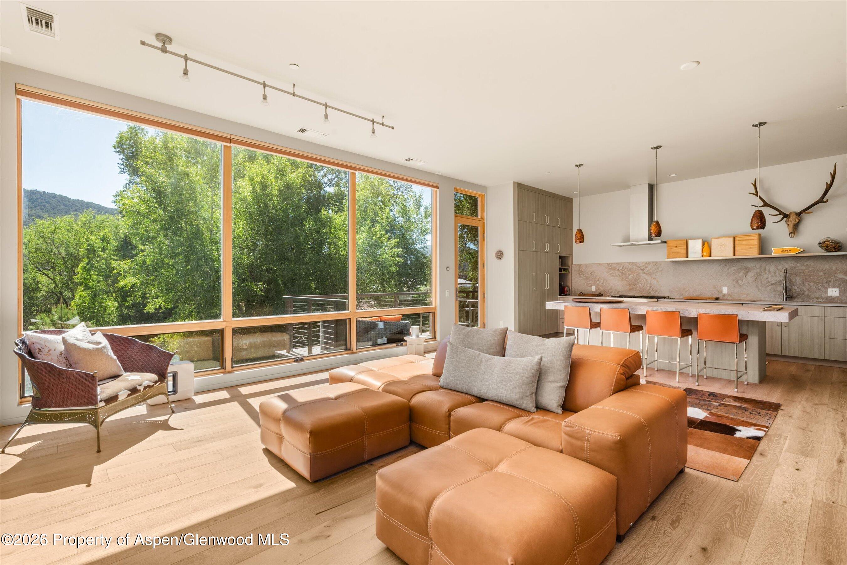 103 Willits Lane, Unit 201 Basalt, CO 81621 - Photo 6 of 27 19-103WillitsWy201_06112026019