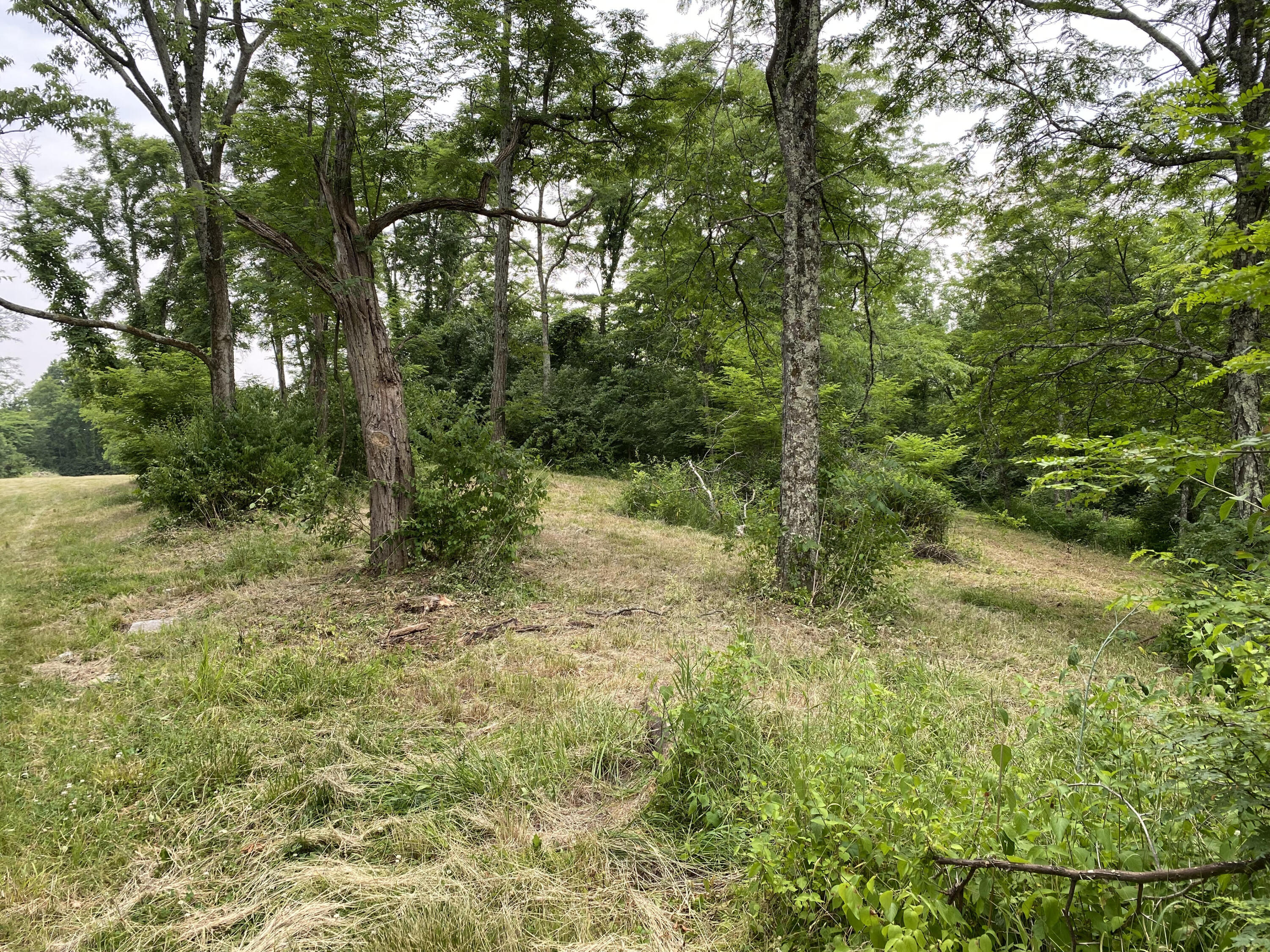 1100 Fairview Road Williamstown, KY 41097 - Photo 36 of 74 unnamed (9)