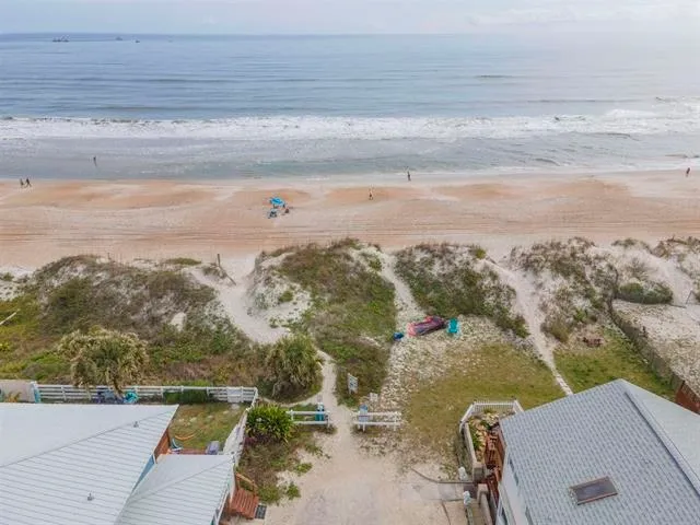a view of a yard with plants