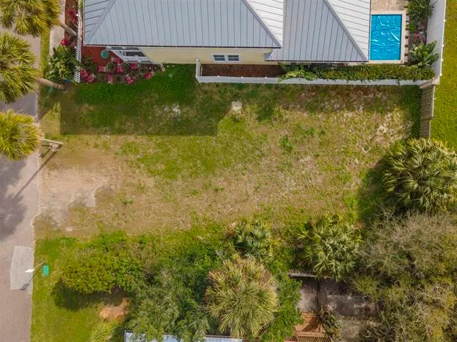 a view of a backyard with plants