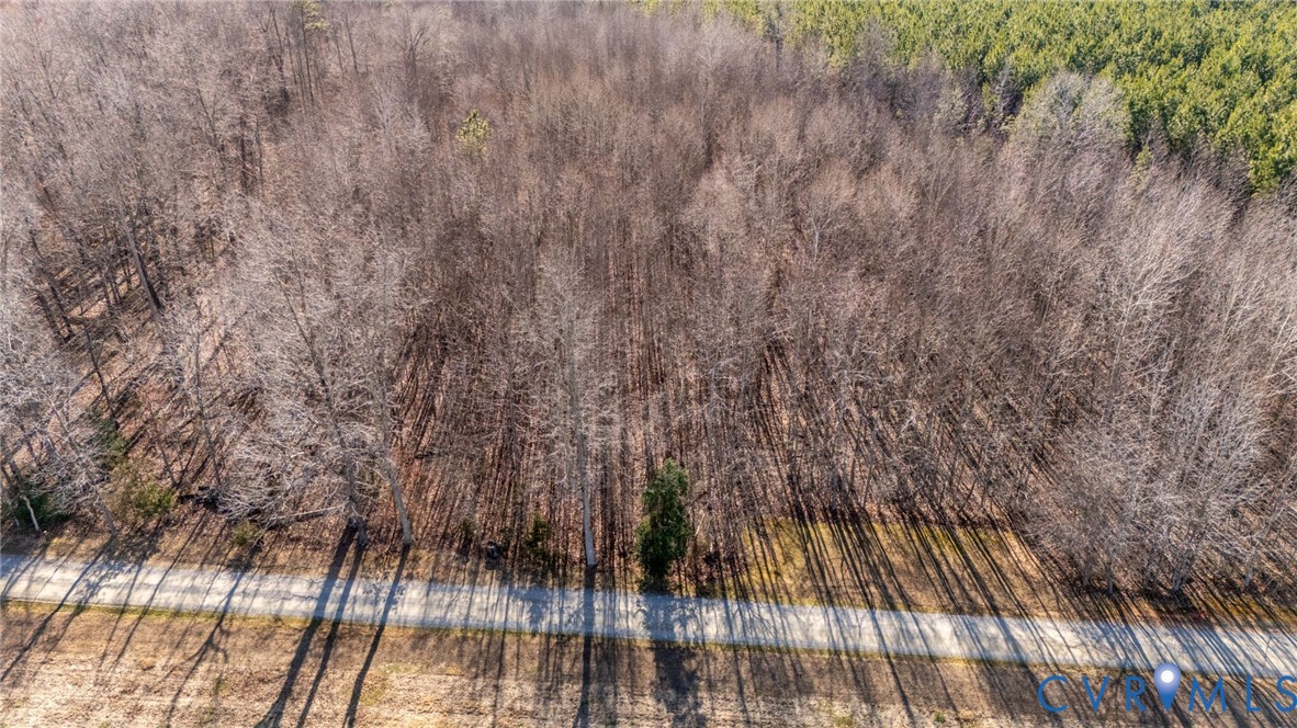 623 Worsham Road Powhatan, VA 23139 - Photo 4 of 13