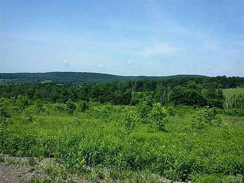 0 Dillon Road Homer, NY 13077 - Photo 1 of 1 Gallery Image 1