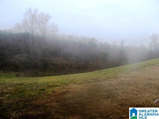 0 Spunky Hollow Road, Unit 98 ACRES Remlap, AL 35133 - Photo 4 of 4