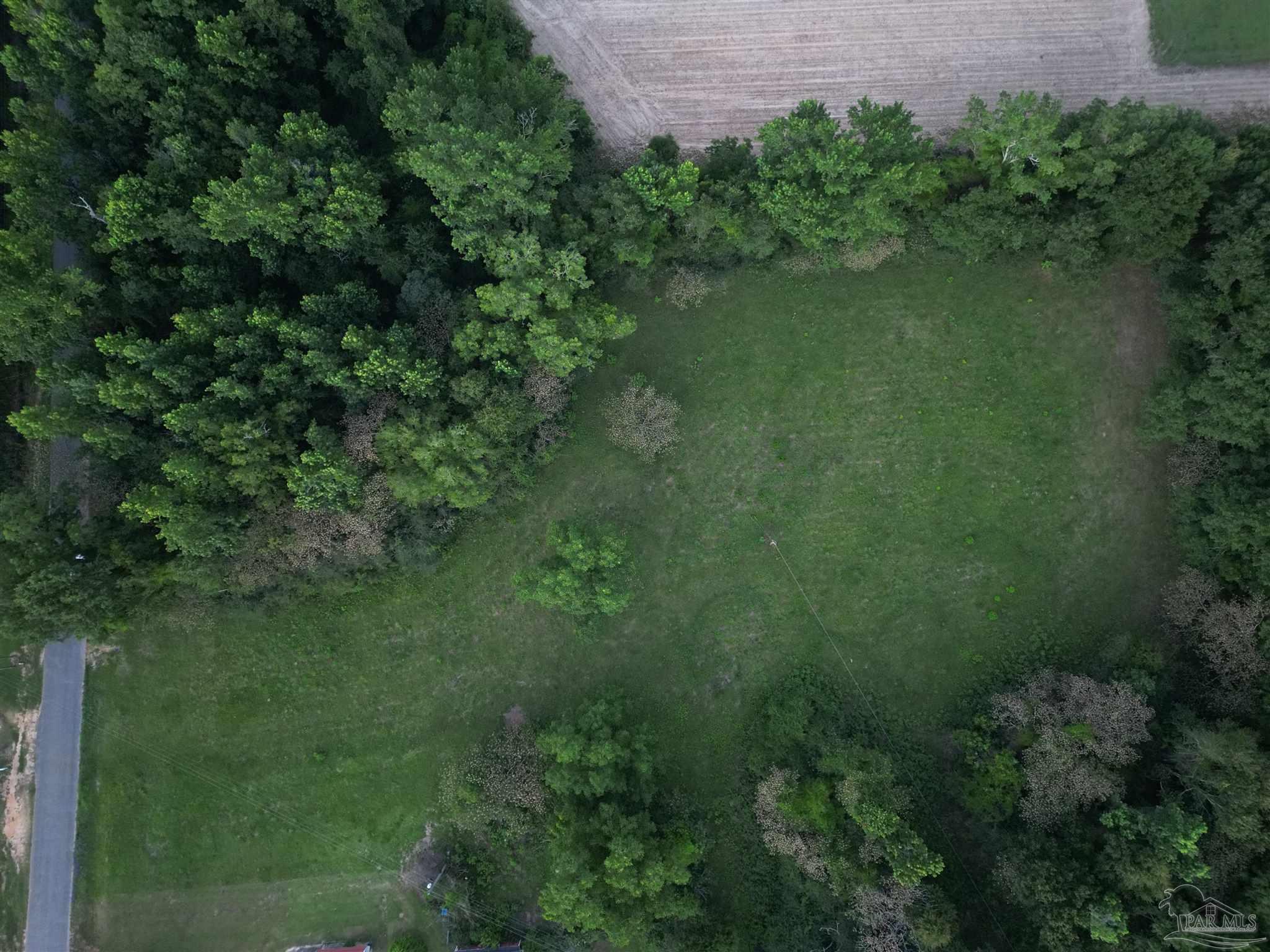 6701 Camp Henderson Road Jay, FL 32565 - Photo 6 of 13