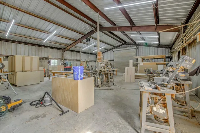 a view of a forest with trees in the background