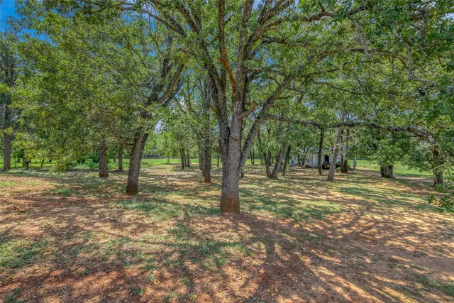 a view of a garden with a tree