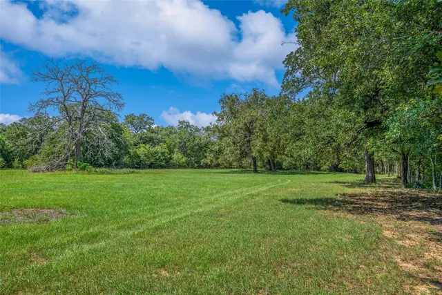a view of a green field