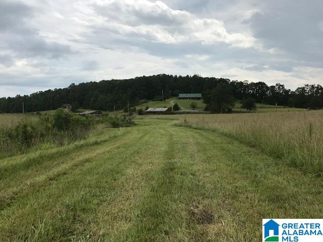 207 Padgett Road Ashland, AL 36251 - Photo 13 of 20