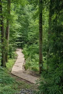 a view of a yard with plants