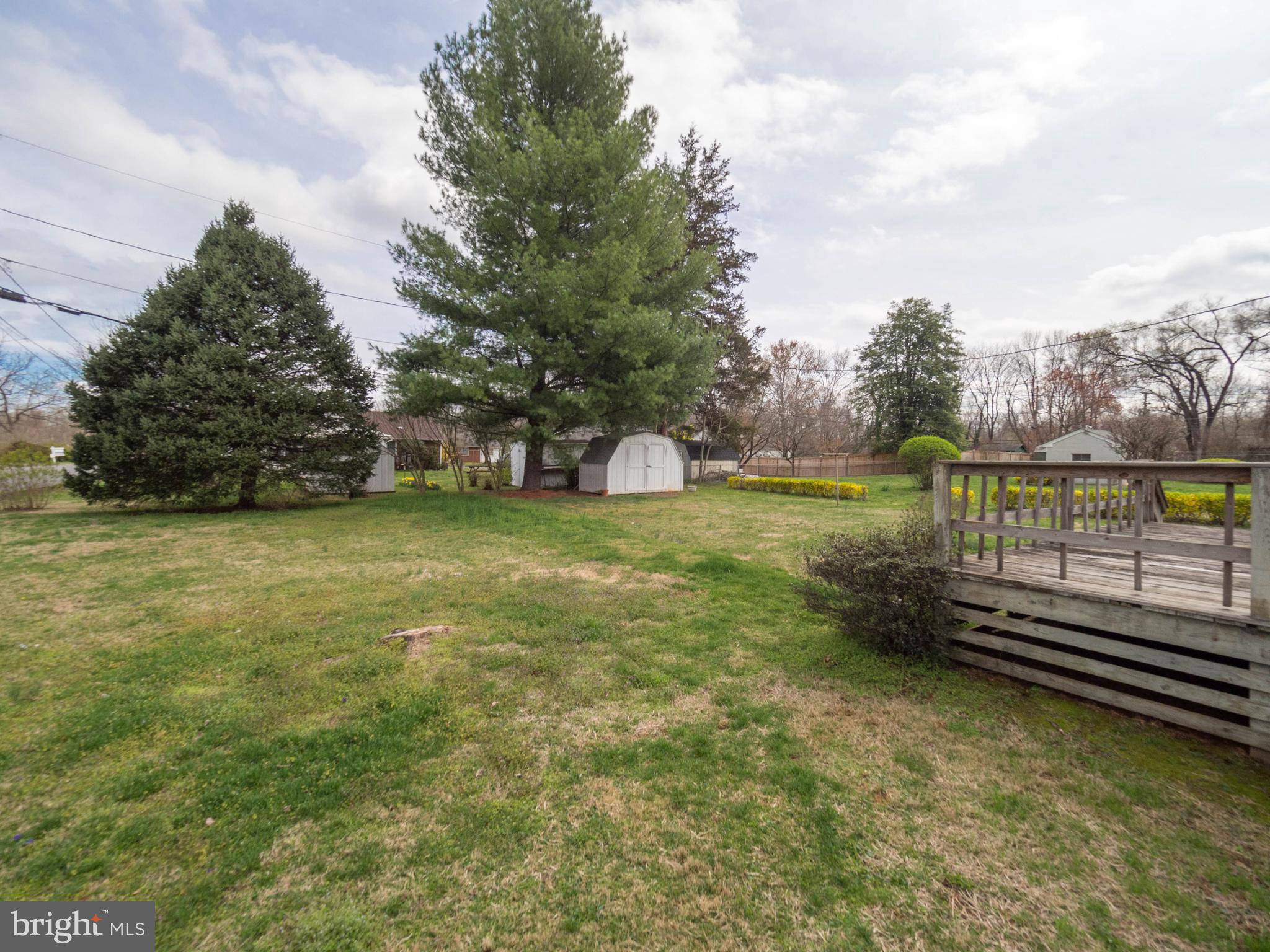 313 Madison Street Culpeper, VA 22701 - Photo 18 of 19 Back yard