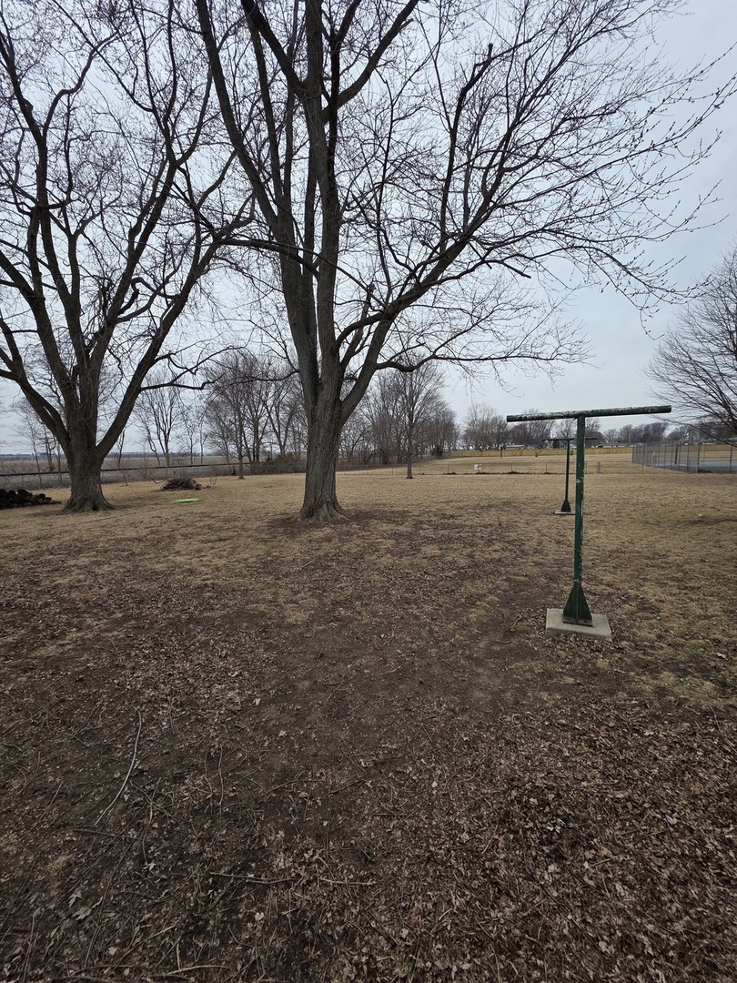 503 North Walnut Street Delavan, IL 61734 - Photo 11 of 32 a view of a yard with a tree